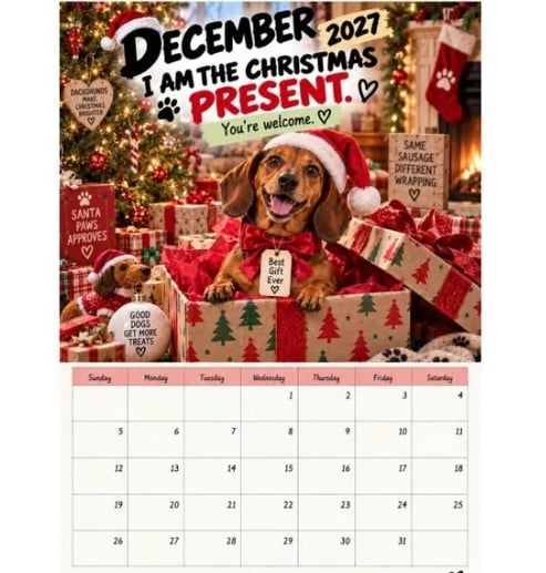 ๐ถ2027 Funny Dachshund Wall Calendar โ Sarcastic Sausage Dog Calendar, A4 Monthly Dog Lover Gift