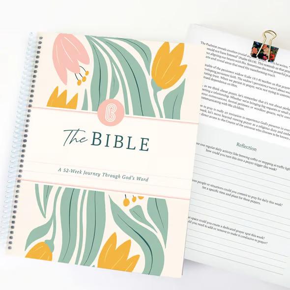 ✝️📚The Bible Of A Year: A 52-Week Study