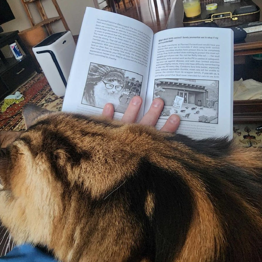 🐈How to Talk to Your Cat About Gun Safety: The Essential Guide for the Modern Concerned Pet Parent 🐾🔫