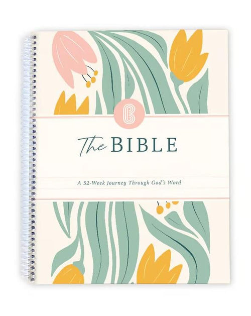 ✝️📚The Bible Of A Year: A 52-Week Study
