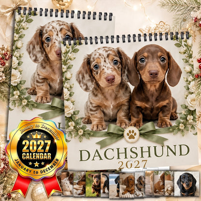 🥰 Spotted Dachshund Calendar 2027, Cute Wall Decor And Gift For Fans