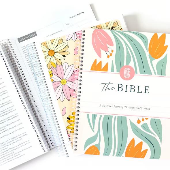✝️📚The Bible Of A Year: A 52-Week Study