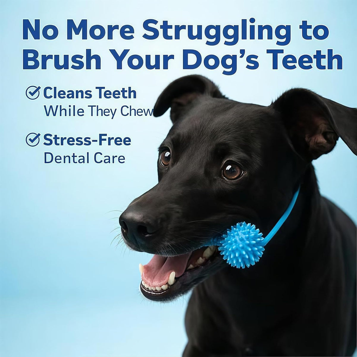 🐶🦷Adjustable collar dog dental chew - for cleaning teeth