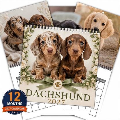 🥰 Spotted Dachshund Calendar 2027, Cute Wall Decor And Gift For Fans