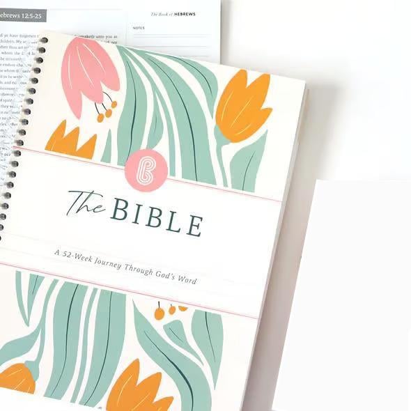✝️📚The Bible Of A Year: A 52-Week Study