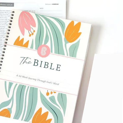 ✝️📚The Bible Of A Year: A 52-Week Study