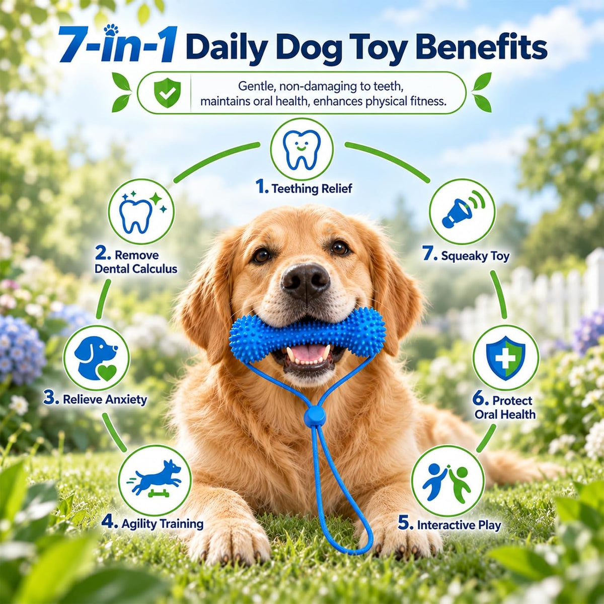 🐶🦷Adjustable collar dog dental chew - for cleaning teeth