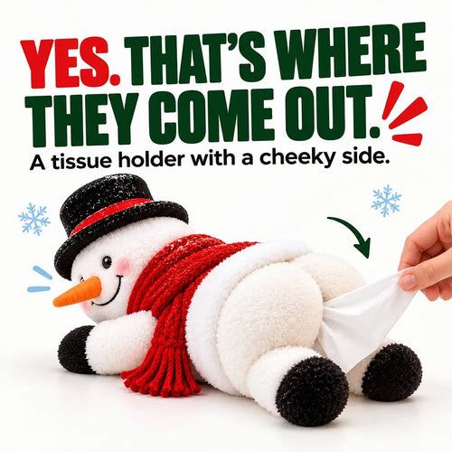 Funny Christmas Snowman Tissue Holder