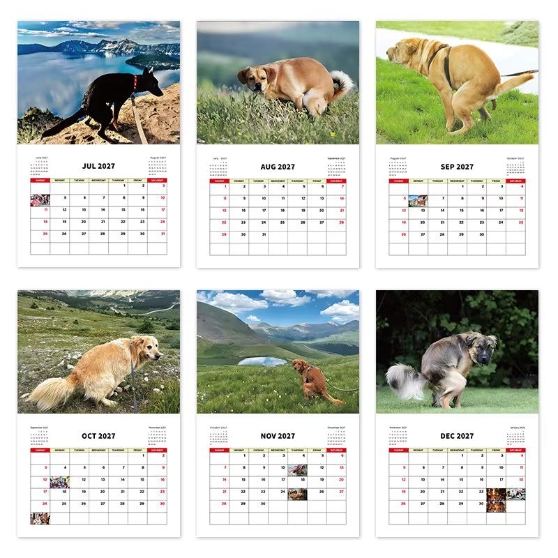 A 12-month wall calendar page layout featuring dog photographs above each month's grid. The top row shows a black cat on a cliff, a golden dog in a field, and a yellow dog on a road; the bottom row shows a golden dog in a grassy landscape, a dog by a lake, and a dog sitting on grass.