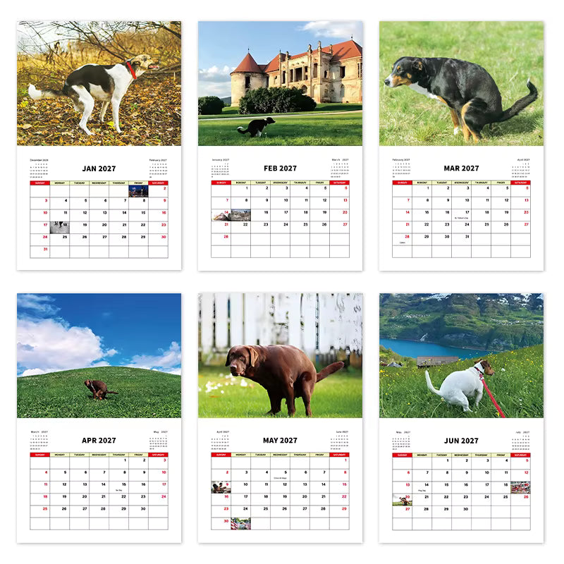 Dogs Pooping in Beautiful Places – 2027 Wall Calendar