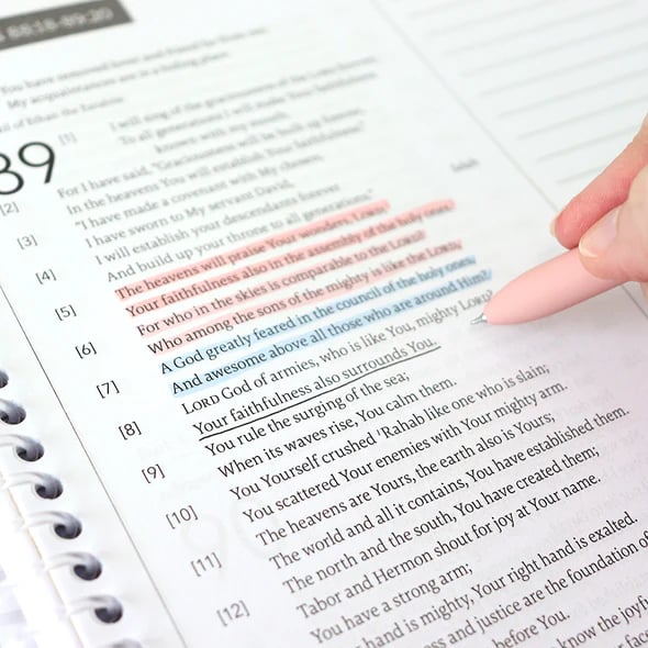 ✝️📚The Bible Of A Year: A 52-Week Study